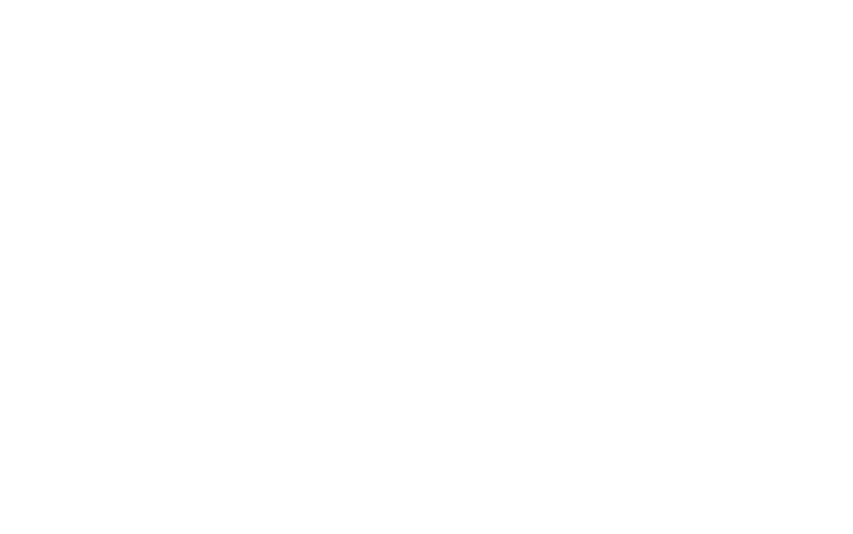 The Morgantown Area Partnership