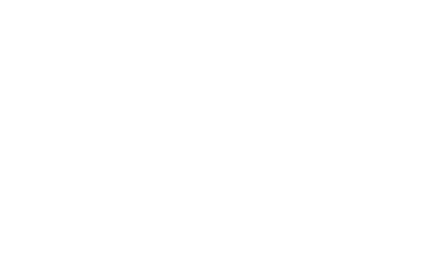 The Morgantown Area Partnership